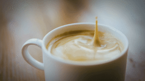 The Coffee Blues, AARx in Tampa Bay and Central Florida