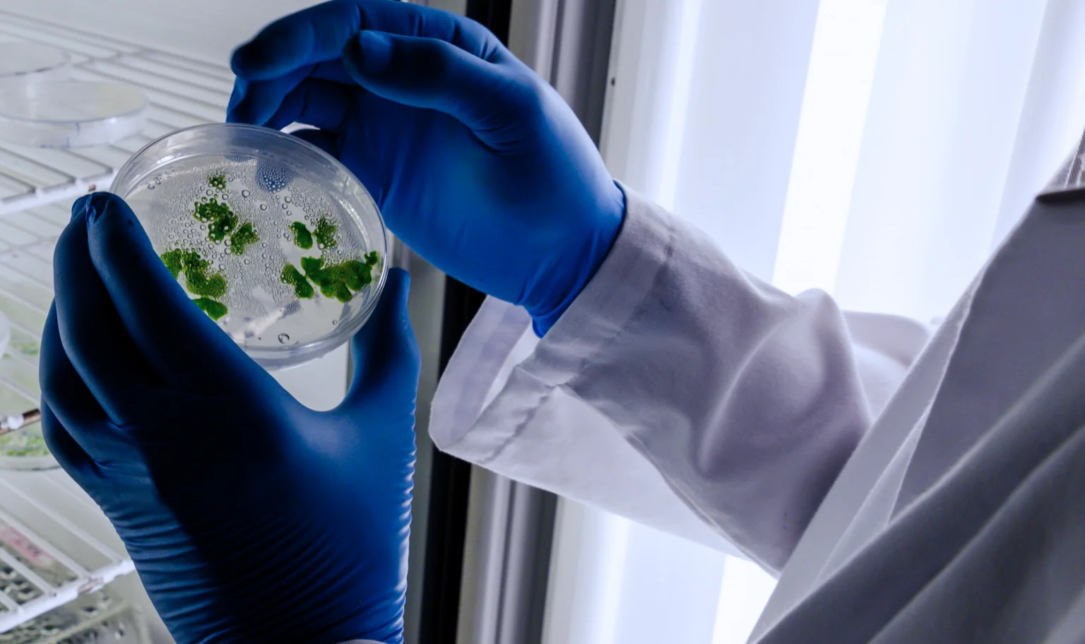 Environmental toxin screening lab sample at AARx